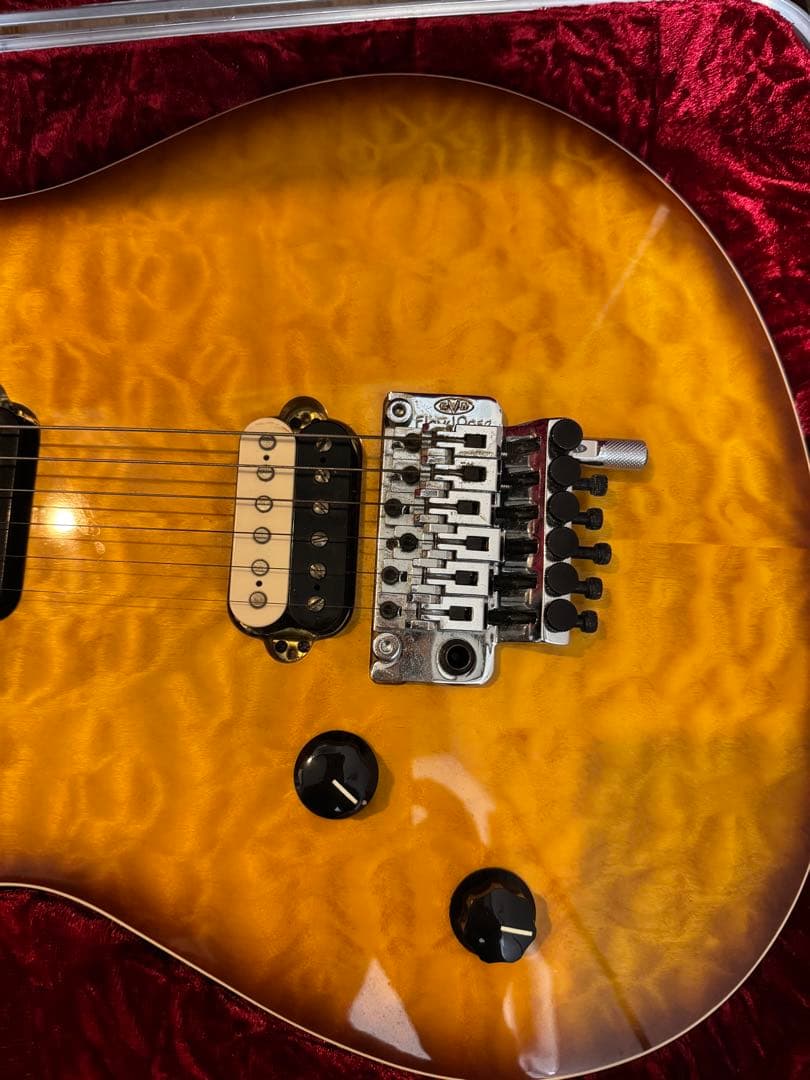 EVH WOLFGANG SPECIAL TBSレフティ