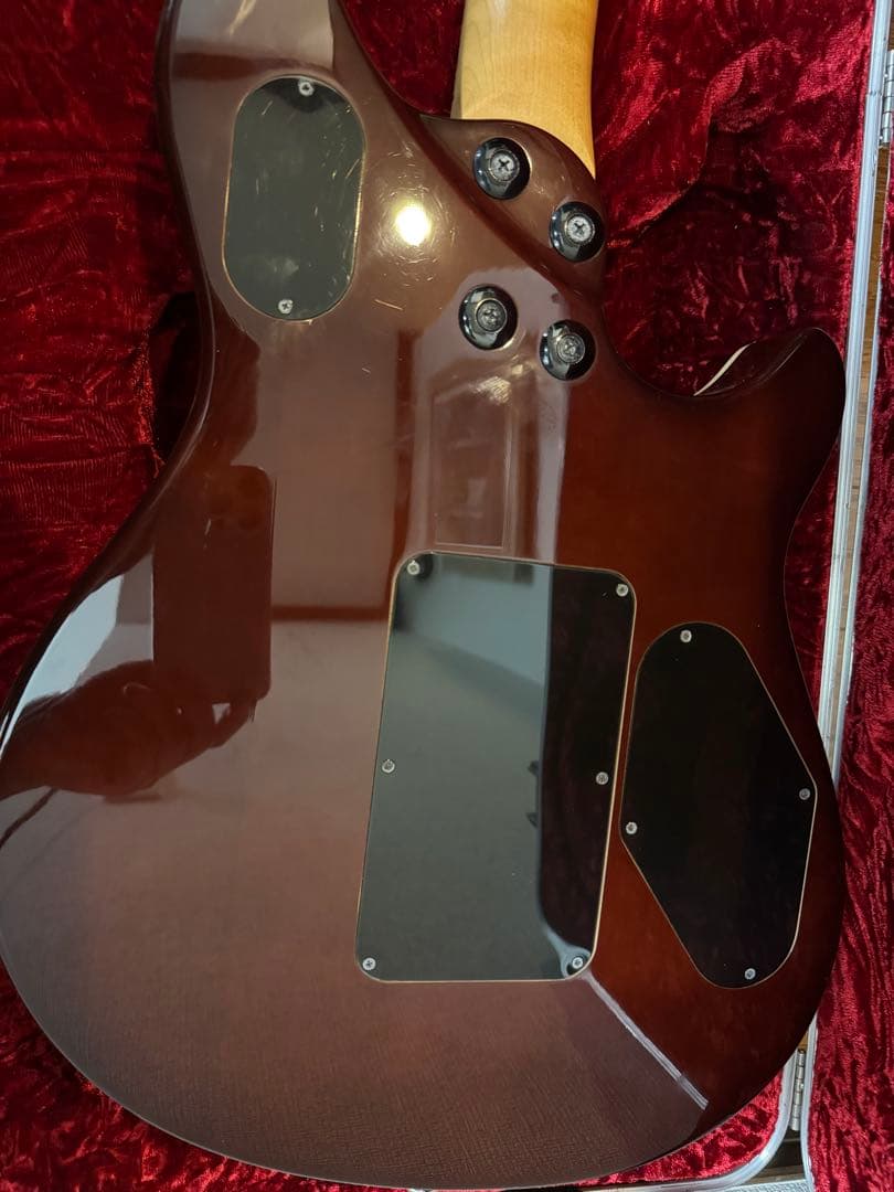 EVH WOLFGANG SPECIAL TBSレフティ