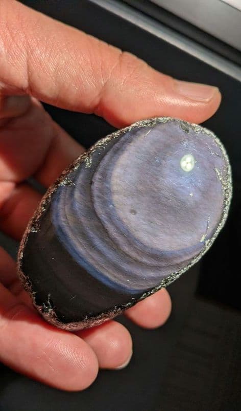 研磨品　十勝石玲瓏　パープル、ブルーレインボーオブシディアン