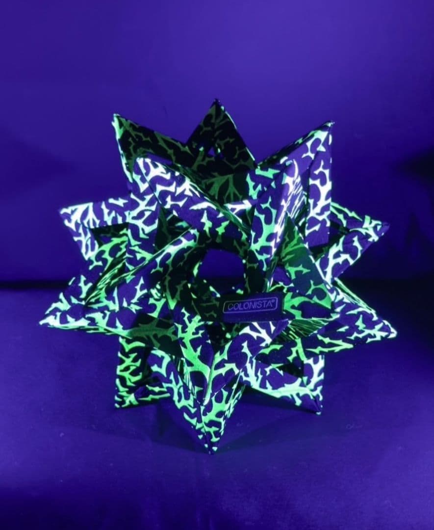 【新作新品未使用】T SPEC GEAR × COLONISTA CONPE10