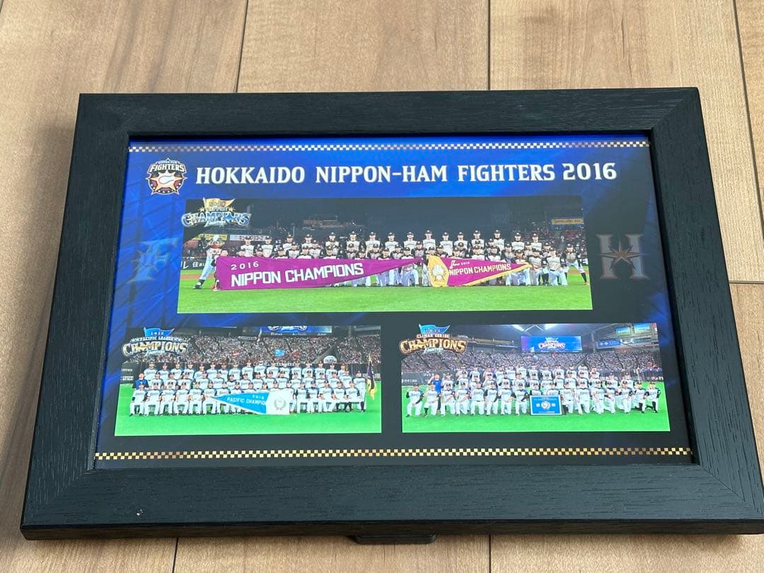 日本ハム　優勝　写真　2016