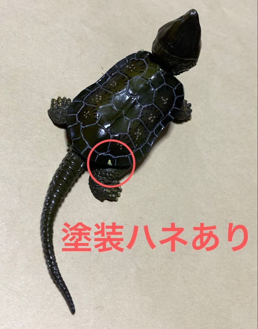 海洋堂　チョコQ シークレット　オオアタマガメ　2種セット　フィギュア