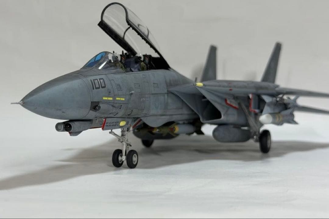 タミヤ 1/48 ジョリーロジャース仕様F-14D トムキャット 完成品