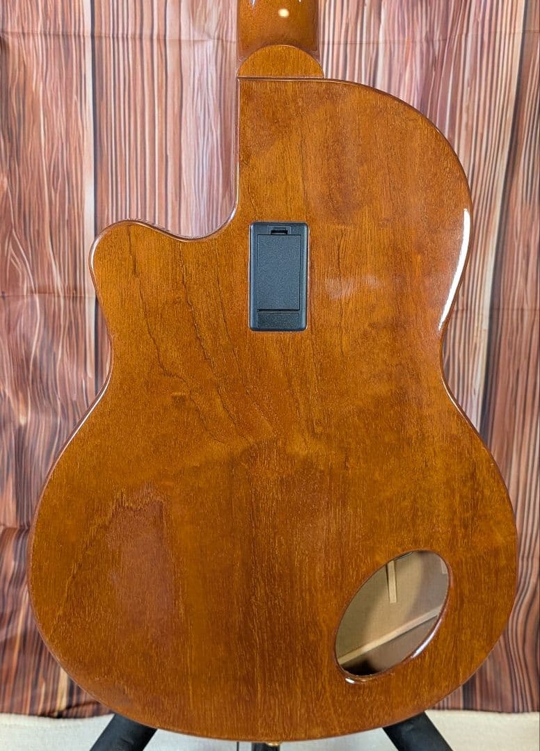 ギター Gibson Montana Chet Atkins Studio CEC