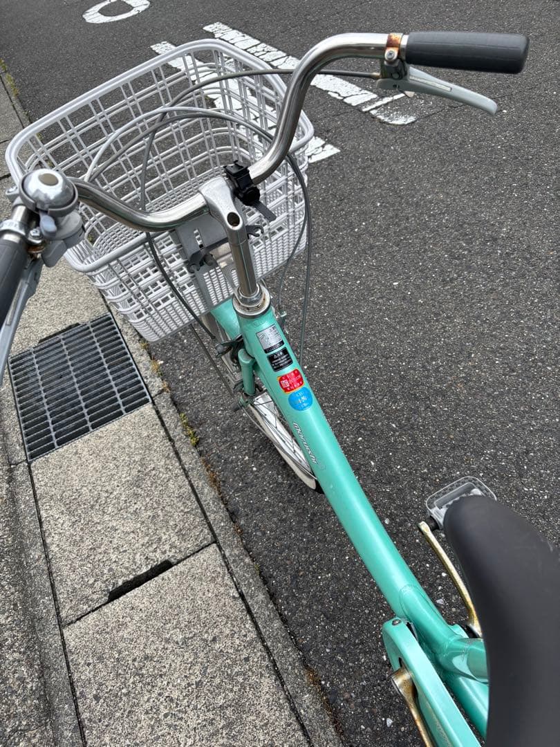 [一宮市近郊限定]ミントグリーン 大人用三輪自転車　前後バスケット付