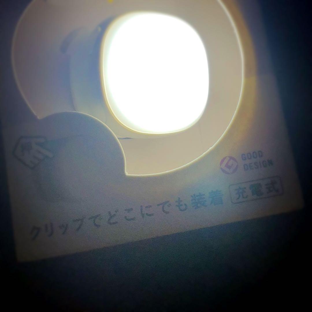 充電式 防犯ライト