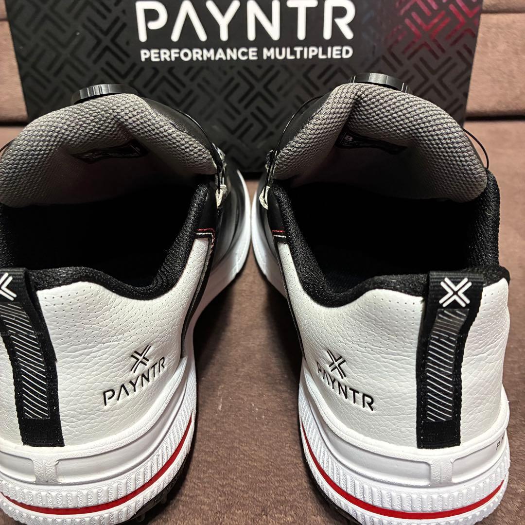 PAYNTR X 003 FF ゴルフ　スパイクレス　26cm ジェイソン・デイ