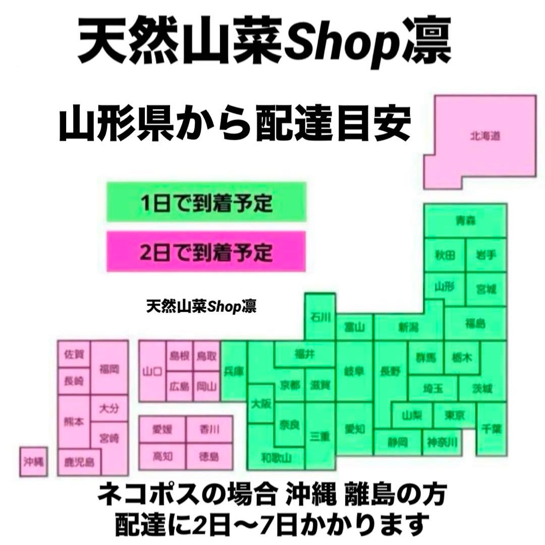 天然きのこ 松茸 国産 マツタケ まつたけ 山形県産 森の凛さん採取 その202