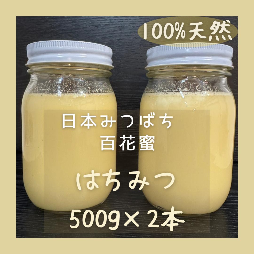 天然 凝固 日本みつばち はちみつ 500g×2本 非加熱 百花蜜 生ハチミツ