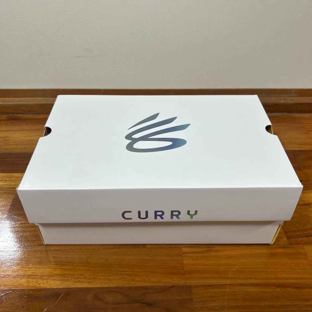 (⭐︎おすすめ限定品) CURRY 8 IWD