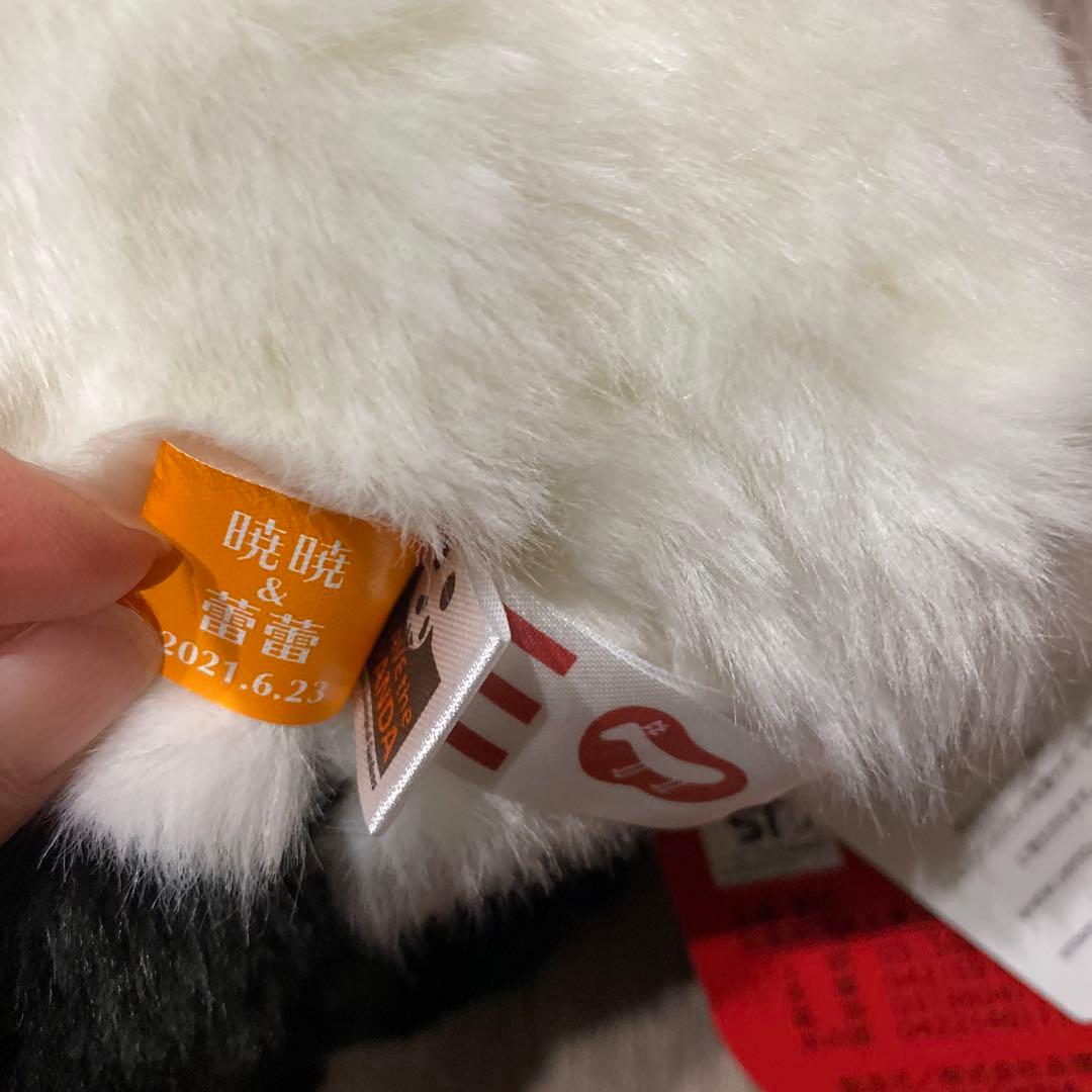 パンダぬいぐるみ 上野動物園　レイレイ