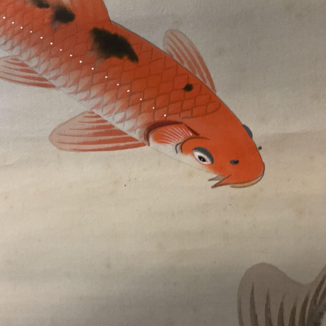 八十三翁 晴山筆 【 松に緋鯉 真鯉図 】 絹本彩色画掛け軸