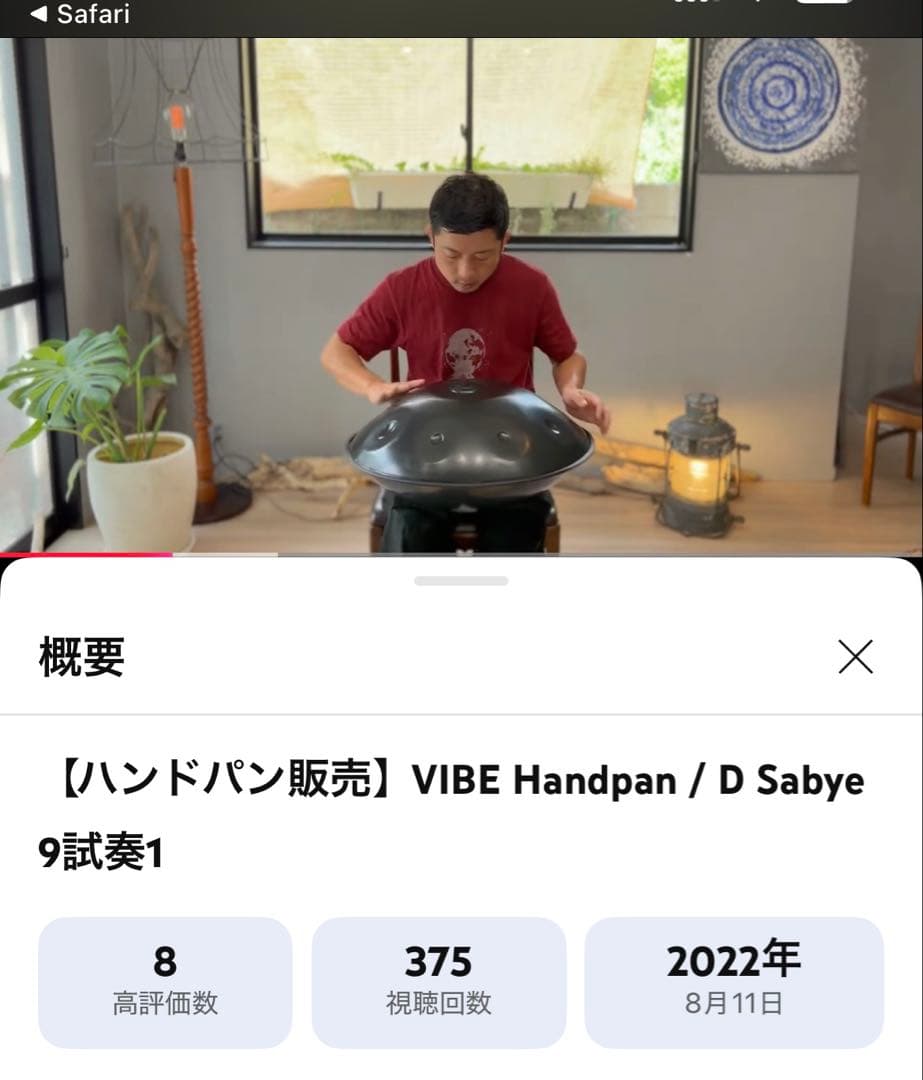 VIBE Handpan / D Sabye9　クロアチア製　ハンドパン