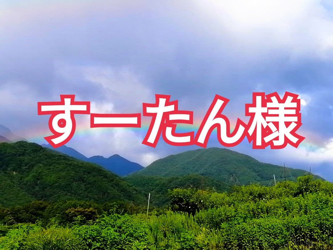すーたん様　とろっと枯露柿　至高の大蜂屋　2kg　干し柿・あんぽ柿