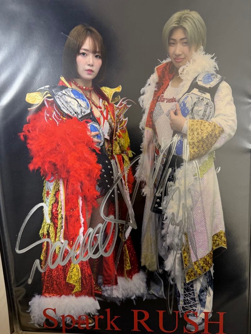 Sareee 彩羽匠 スパークラッシュ 直筆サイン入りポートレートb