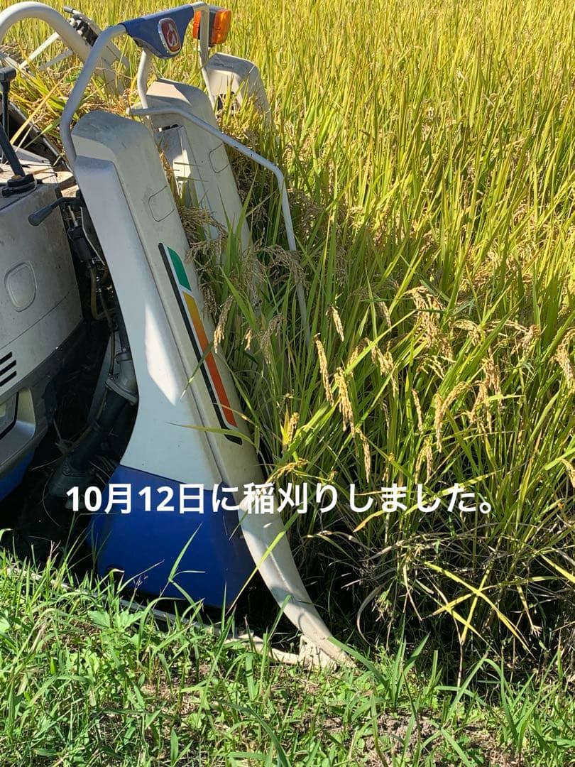 令和7年度産　新米　ヒノヒカリ玄米10kg(送料込)減農薬のお米