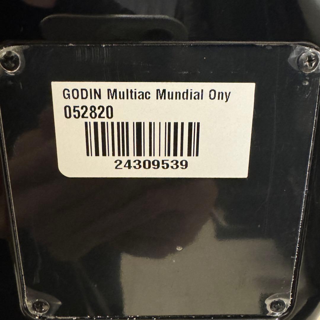 ギター Godin Multiac Mundial Onyx Black
