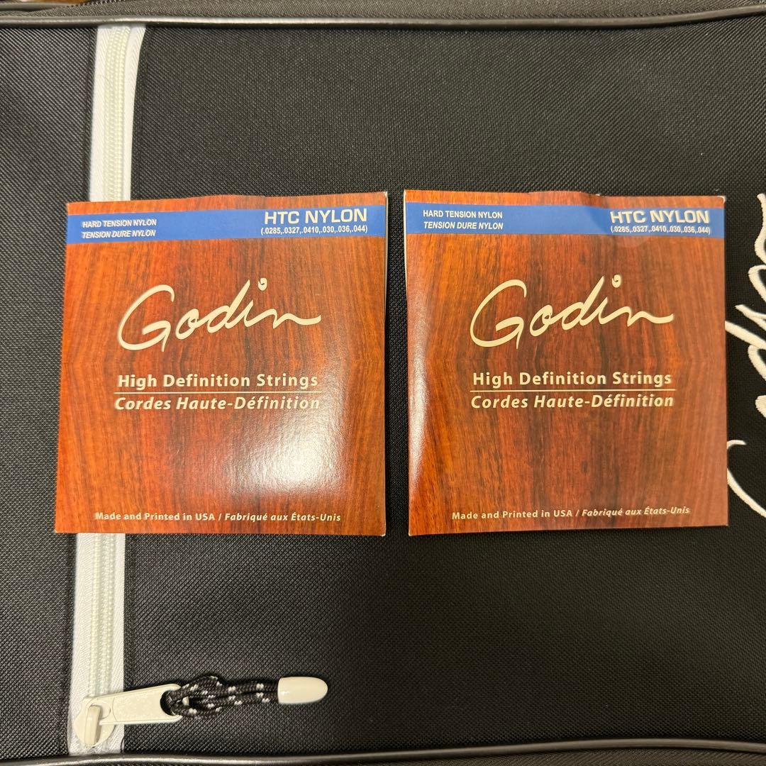 ギター Godin Multiac Mundial Onyx Black