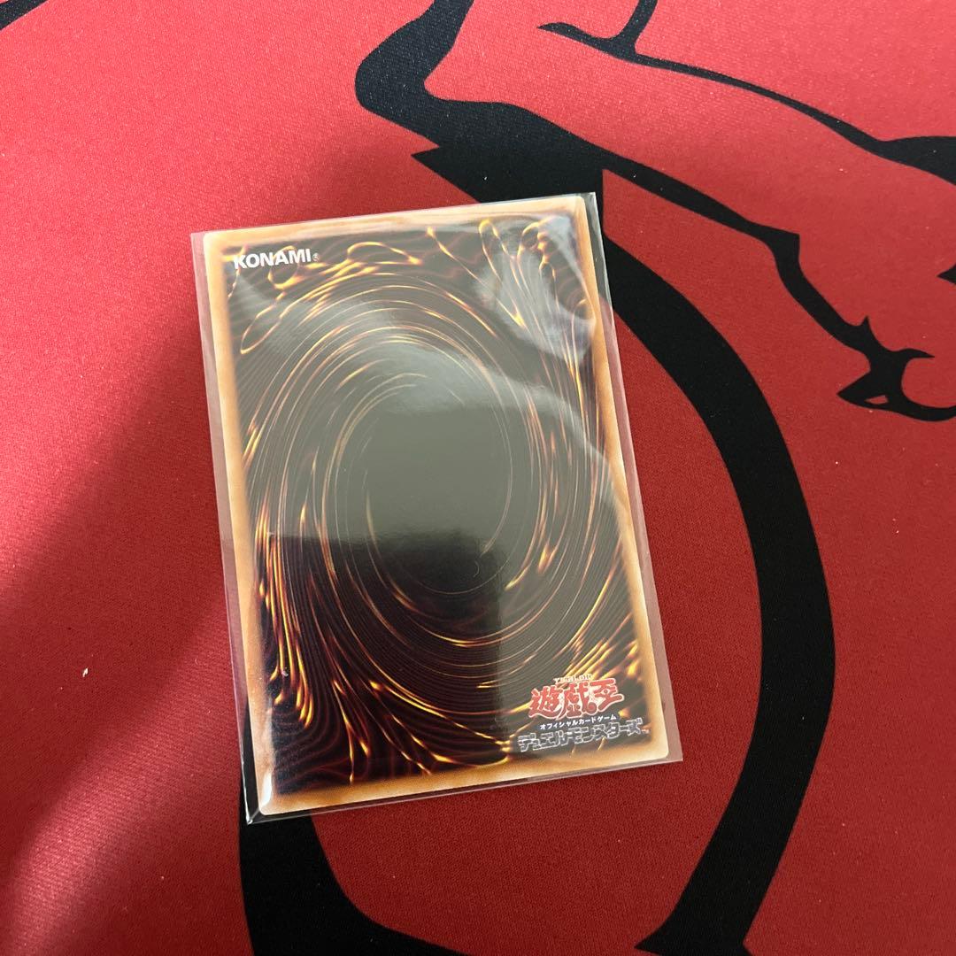 遊戯王 大輪の霊使い プリシク③