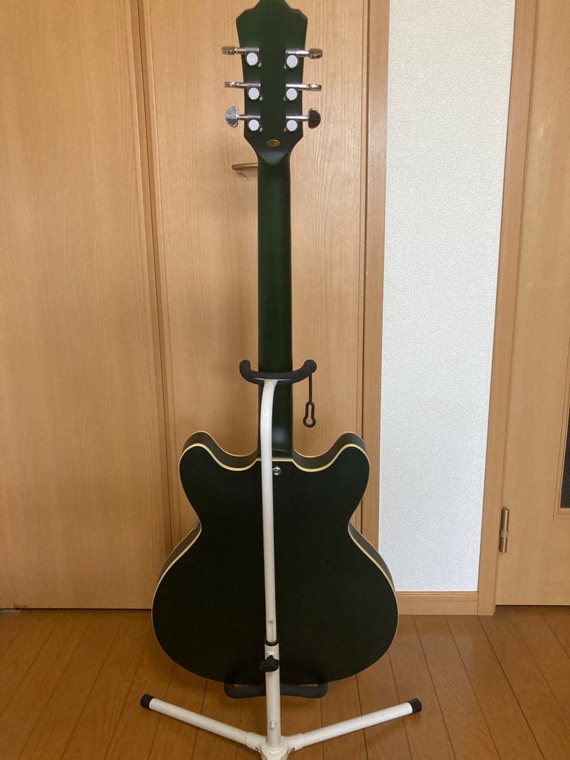 z*5様 プレイテック　SA20 Green セミアコースティックギター　グリー