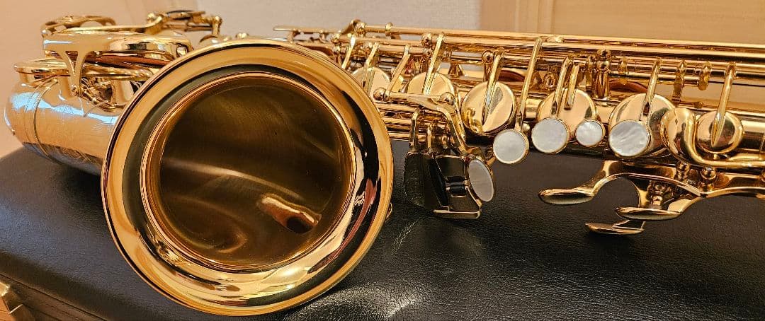 【YAMAHA YAS-875EX】 ヤマハ アルトサックス