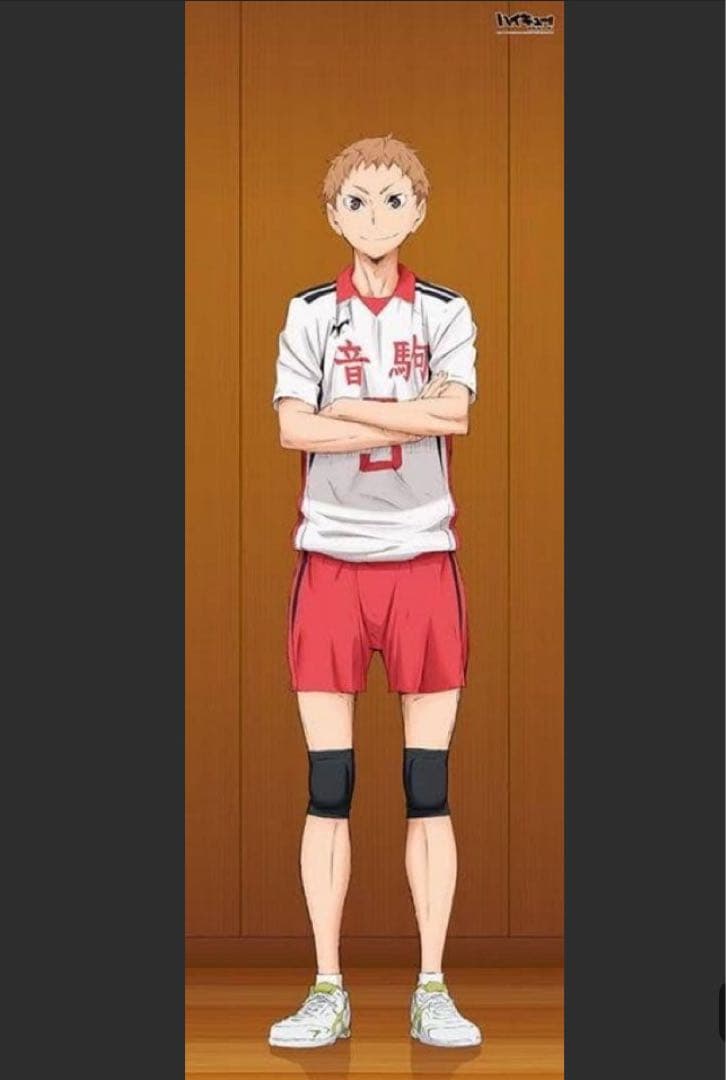 夜久衛輔 等身大タペストリー