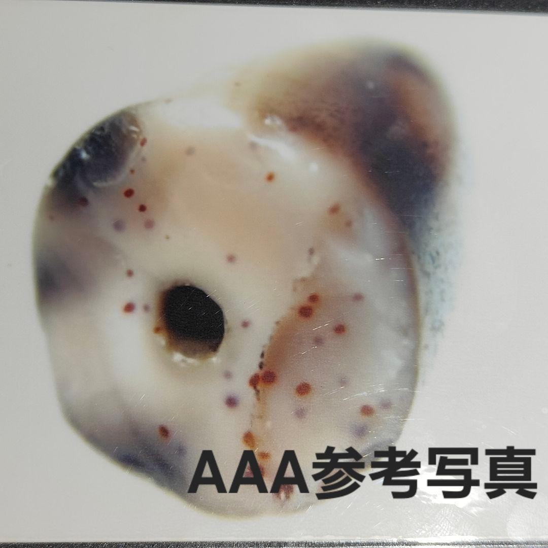 4 老礦天珠　特殊双天地靠山天珠　天珠　天然石　風水　ブレスレット　ネックレス