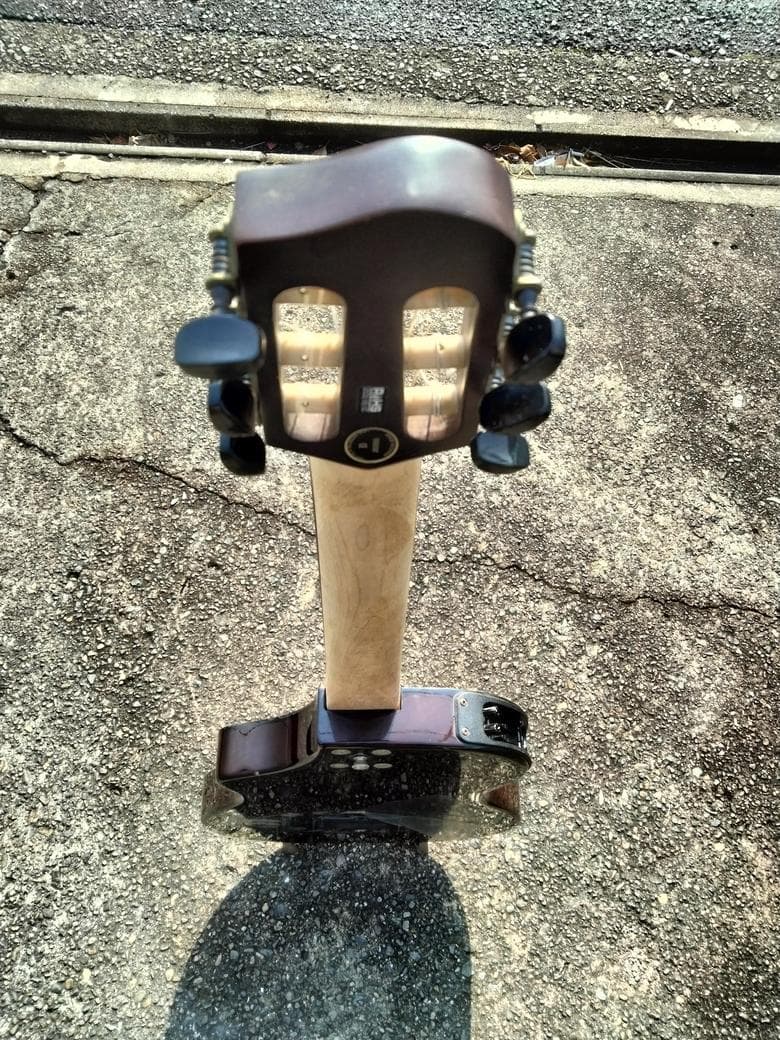 ギター Variax Acoustic 300 Nylon