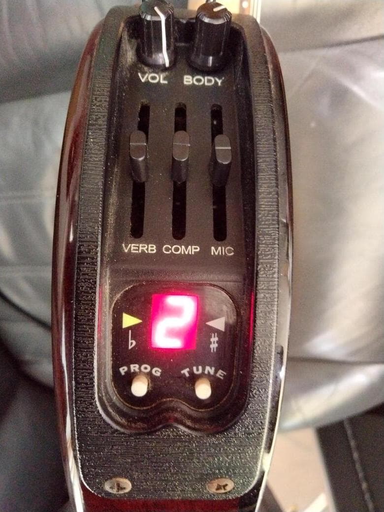 ギター Variax Acoustic 300 Nylon