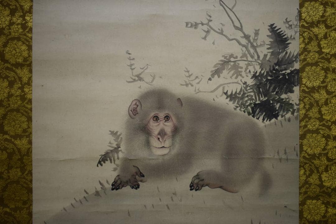 真作/森派の祖/森祖仙/猿画賛/金襴表装/布袋屋掛軸HI-101