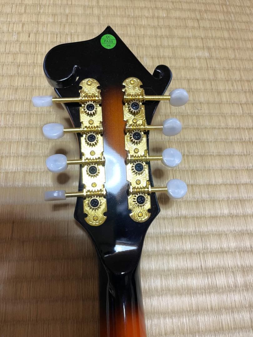 ★ARIA AM-40 フラットマンドリン　★ストラップ付