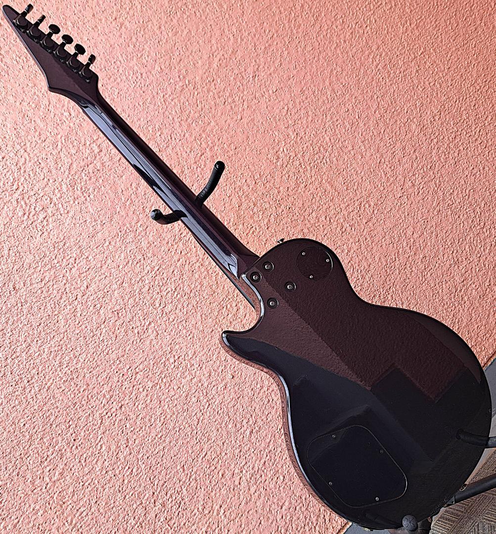 ■FERNANDES RE-95G ディマジオ 瀧川一郎 D’ERLANGER