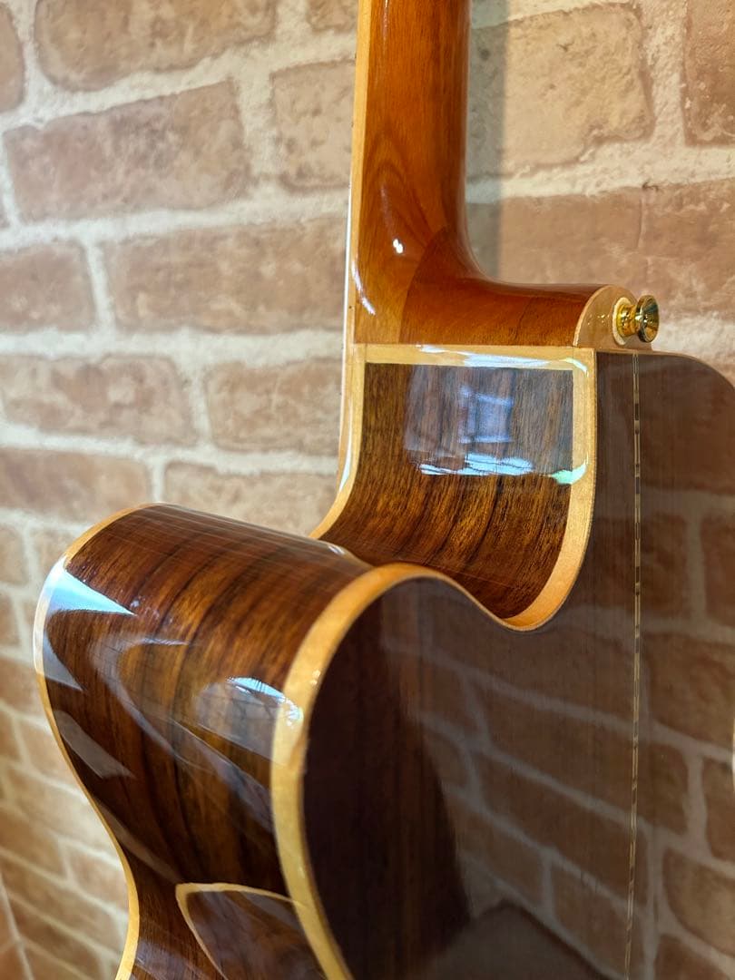 GREG BENNETT design SAMICHエレアコ(OM-15CE)