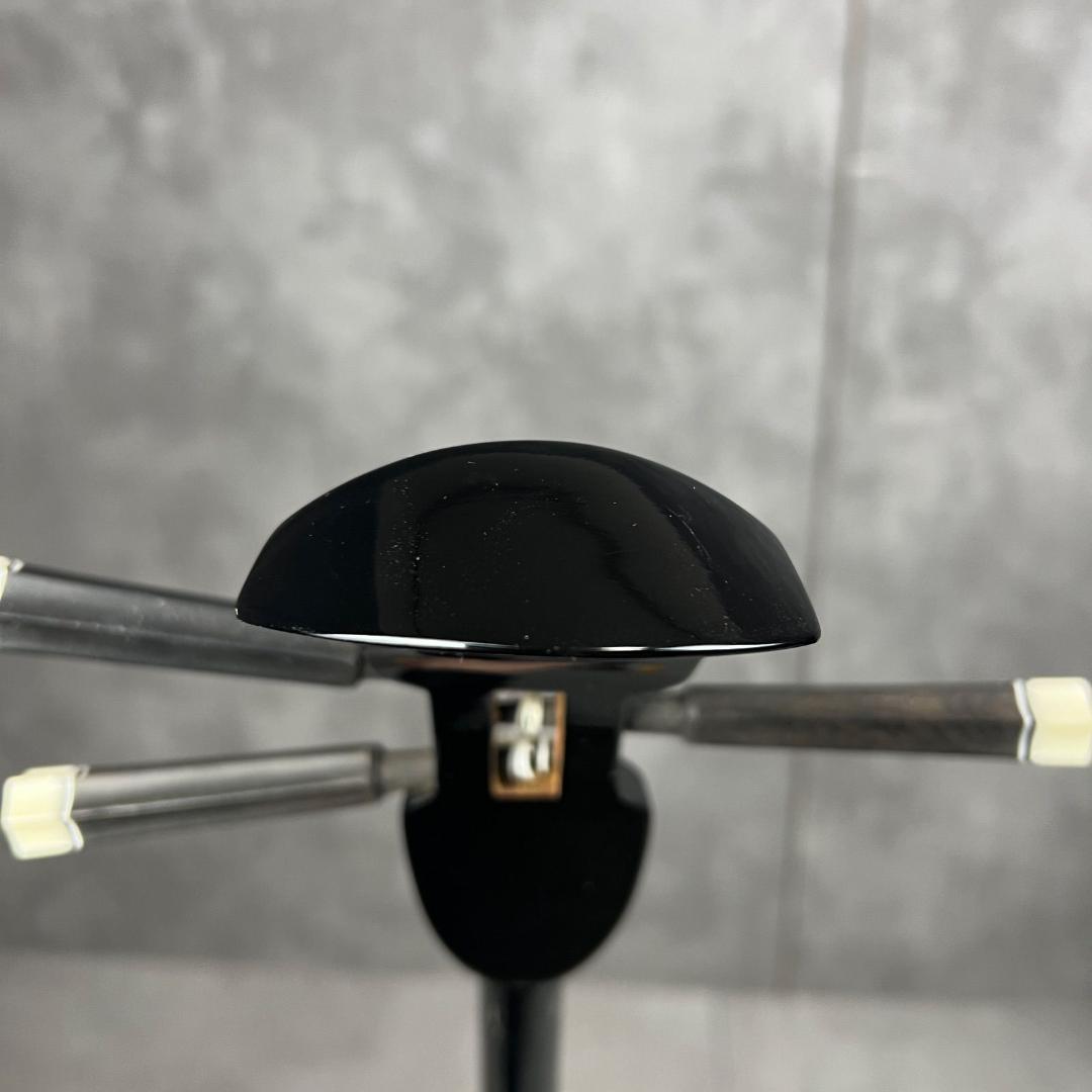 本蛇皮　沖縄三線　強化張り　全長約80cm　セミハードケース　へび　パイソン