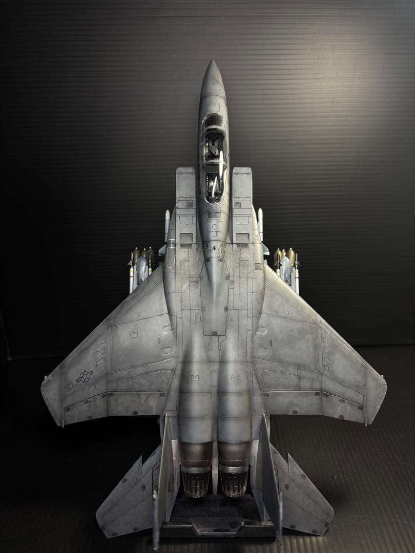 F15E ストライクイーグル(デモ機仕様) 1/72 プラモデル完成作品
