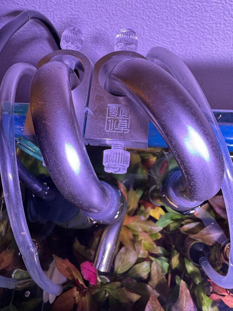 エーハイムフィルター2213