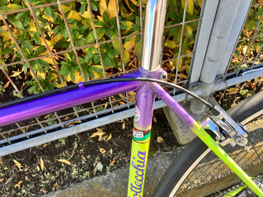 Bottecchia　ボッテキア クロモリロードバイク　1s