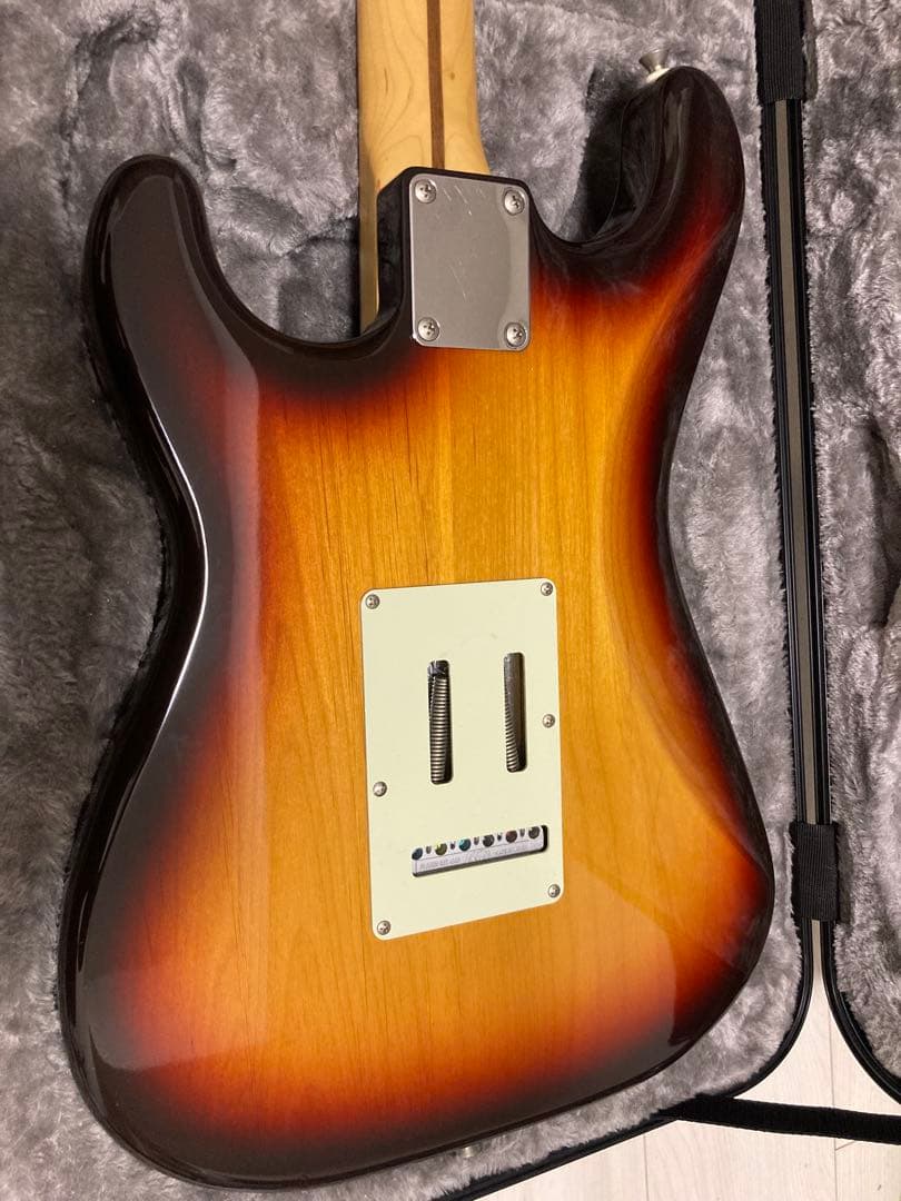 FUJIGEN NST200R/AL ダンカンSSL-1搭載 ラッカー上位モデル