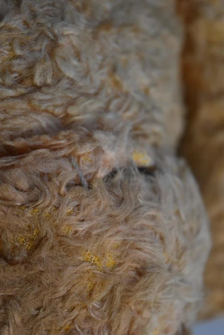 フランスアンティーク たくさん可愛がられたテディベア 熊ぬいぐるみ