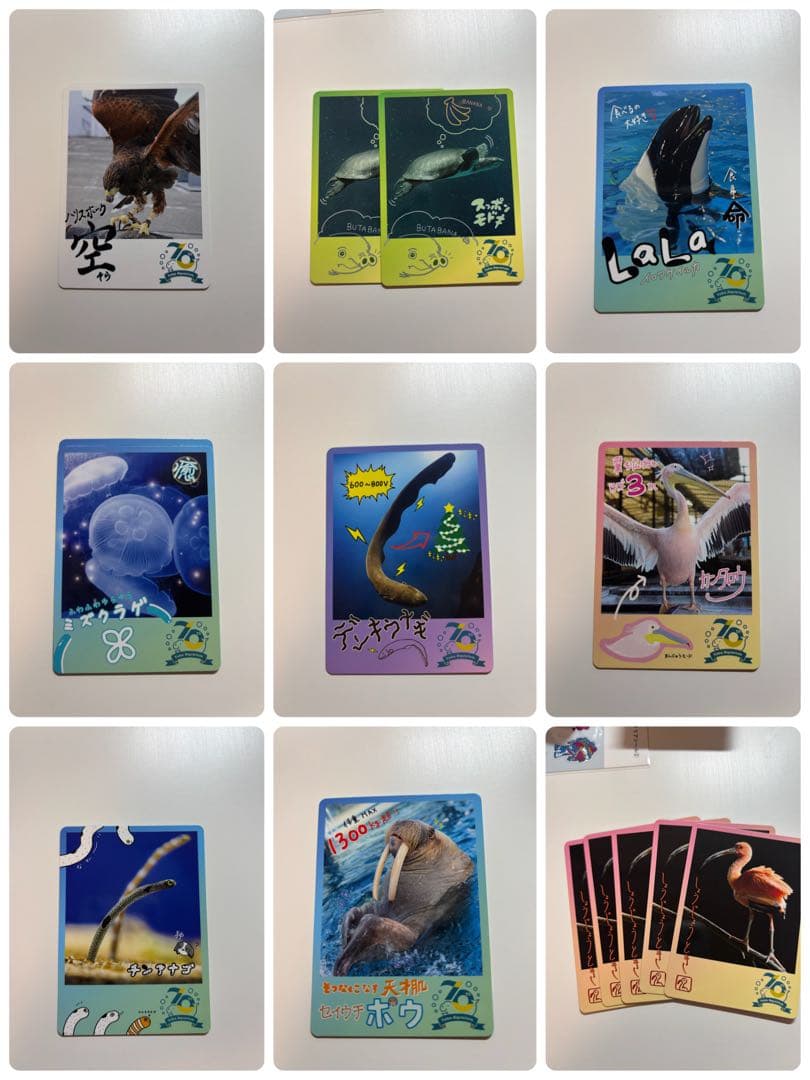 鳥羽水族館トレカ セット売り 一覧