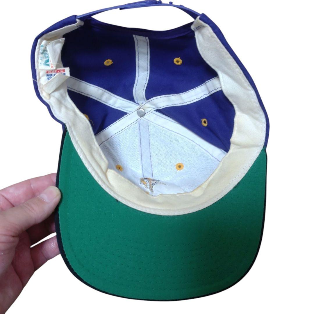 MINNESOTA VIKINGS CAP パープル×ブラック