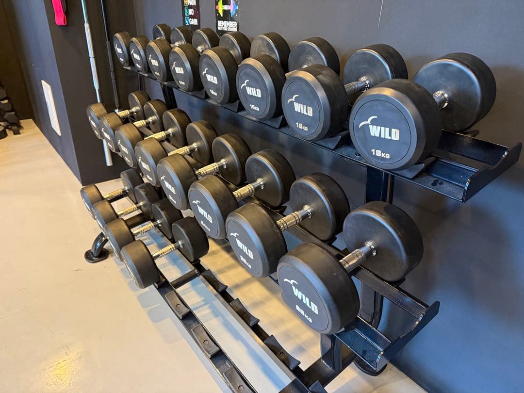 WILD 固定式ダンベルセット 12kg〜30kg ラック付き 2kg刻み