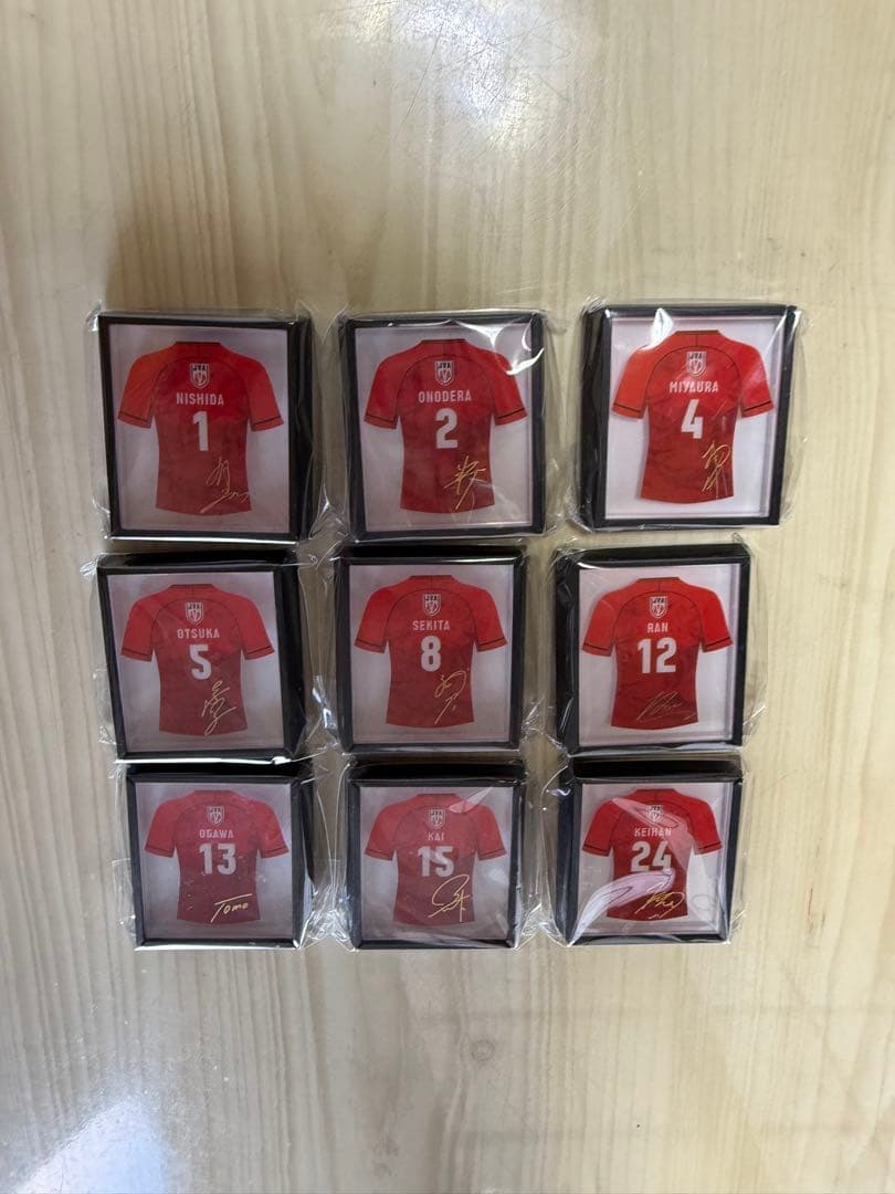 バレーボール男子日本代表　ユニフォームフレームマグネット