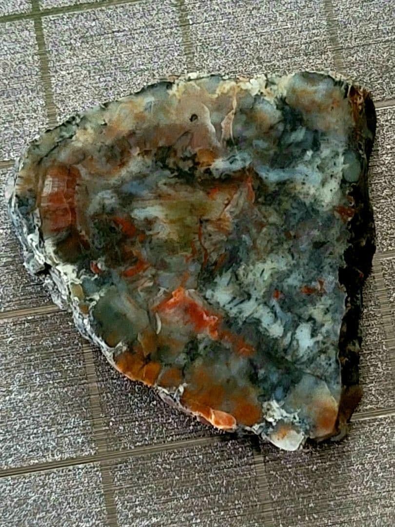 化石『恐竜の糞化石』コプロライト 希少 標本 稀石 生痕 草食恐竜 瑪瑙化 天然