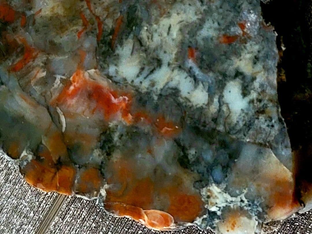 化石『恐竜の糞化石』コプロライト 希少 標本 稀石 生痕 草食恐竜 瑪瑙化 天然