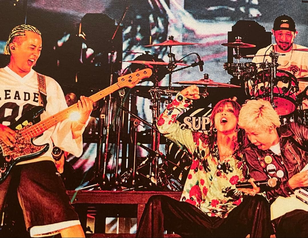 SUPER BEAVER パネル