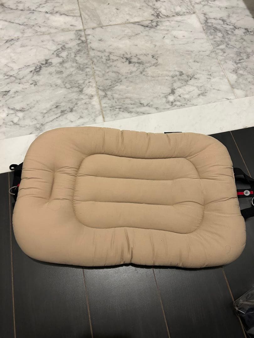 エアバギー　ペットカート　wiz Xペットキャリー