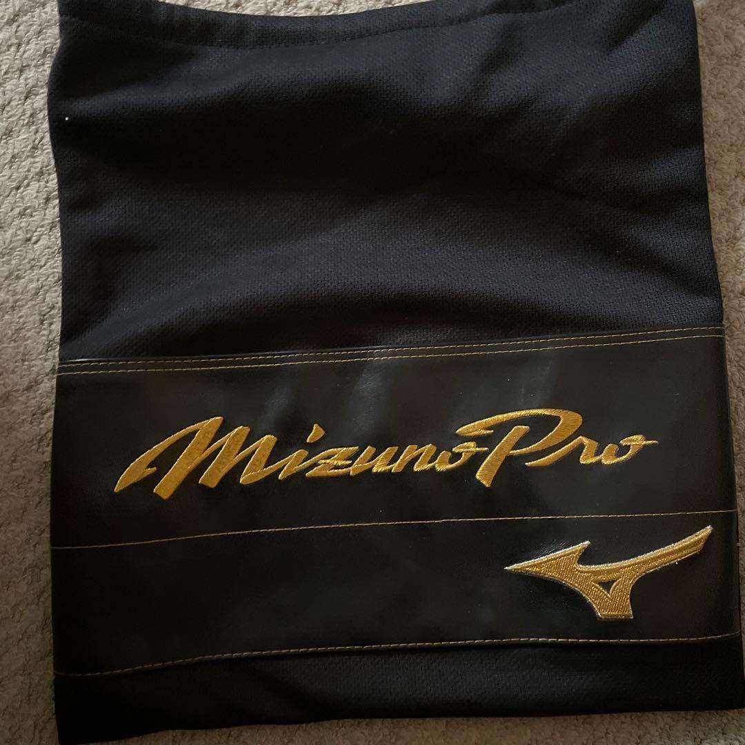Mizuno Proキャッチャーミット黒色（グローブケース付