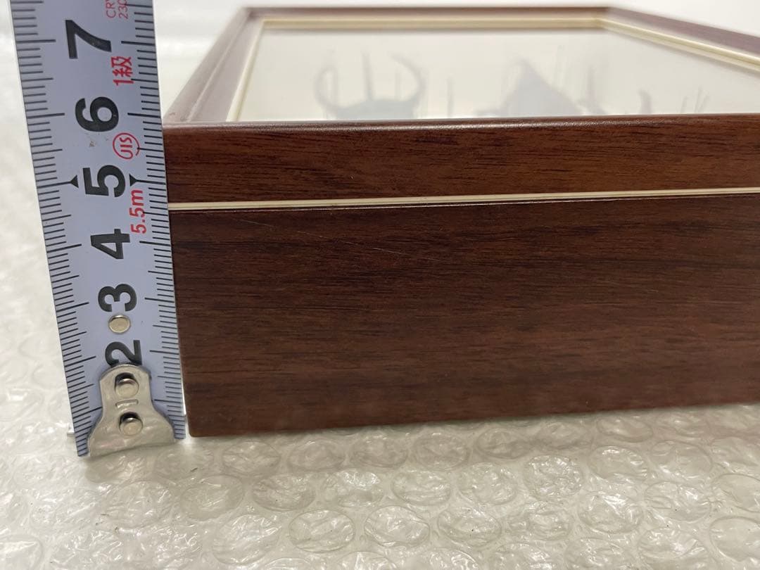 標本 名蝶社 カブトムシ クワガタ 3種 標本ケース入り