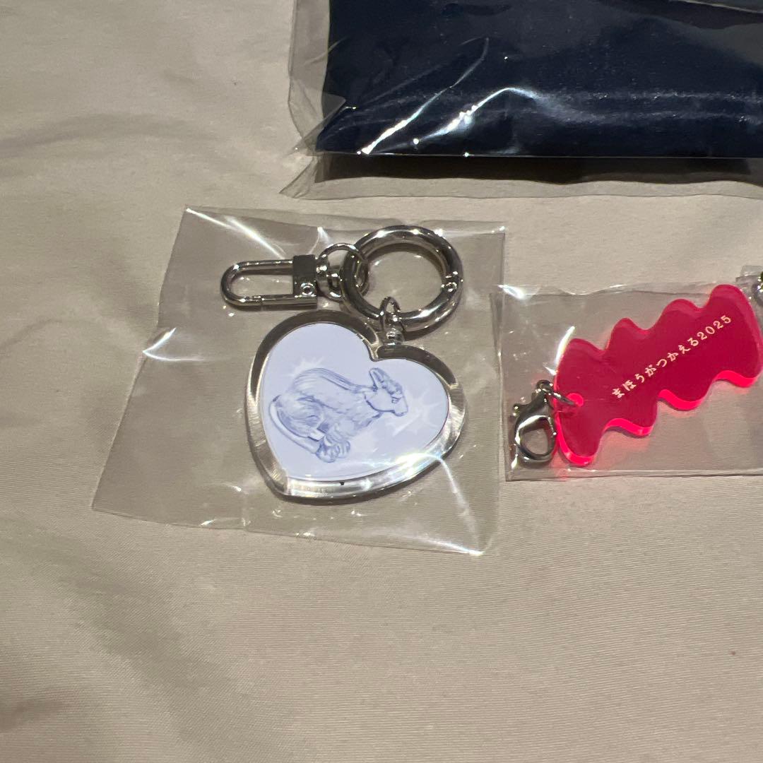 【新品未開封】羊文学 まほうがつかえる 2025